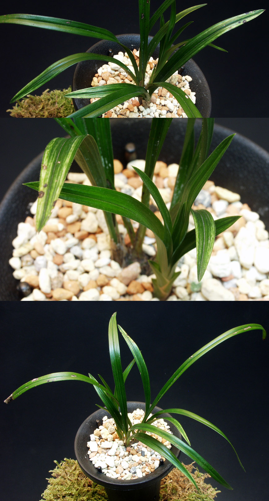 ������ ū������ �� �� �ֽ��ϴ�.