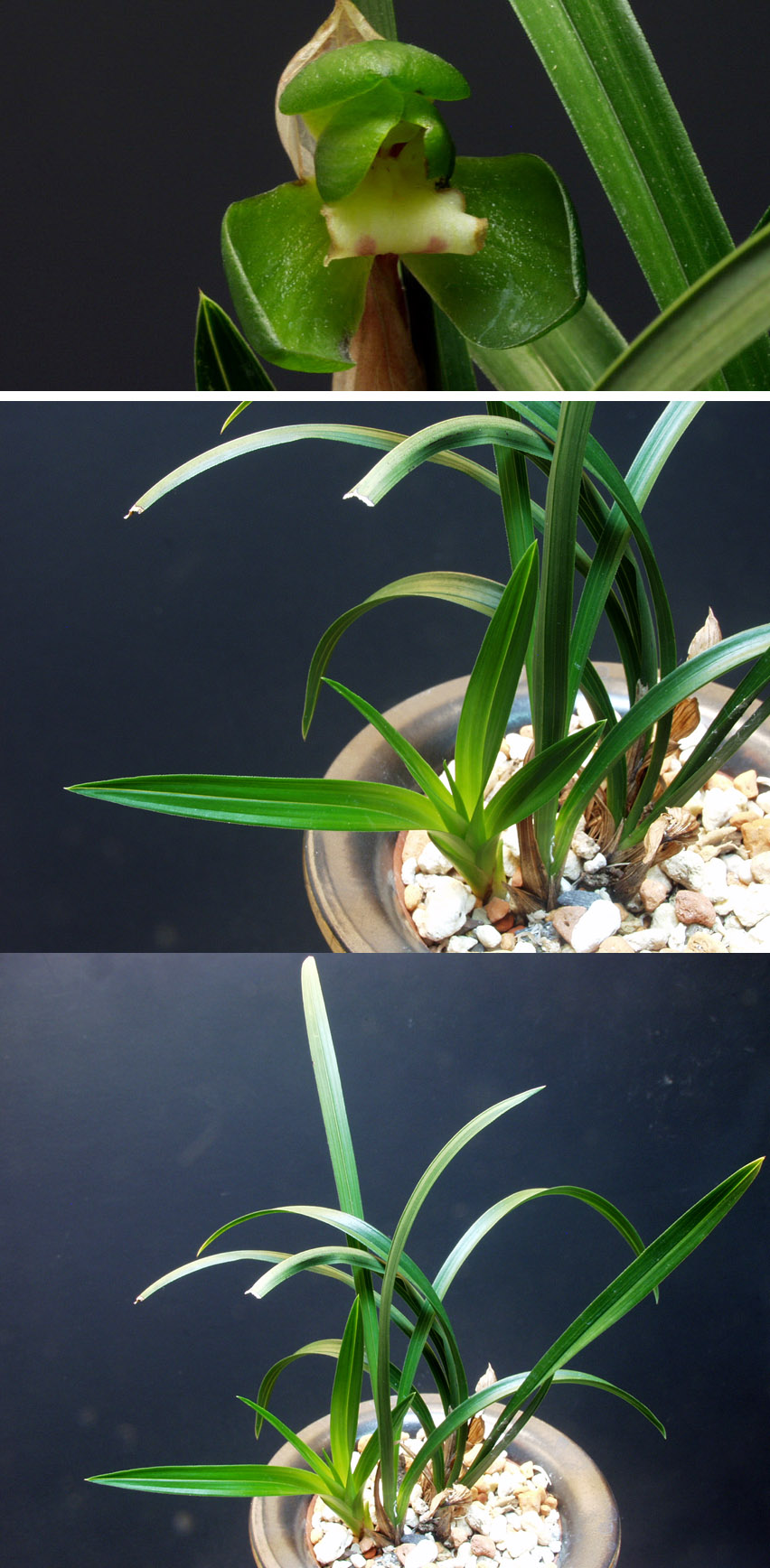 ������ ū������ �� �� �ֽ��ϴ�.