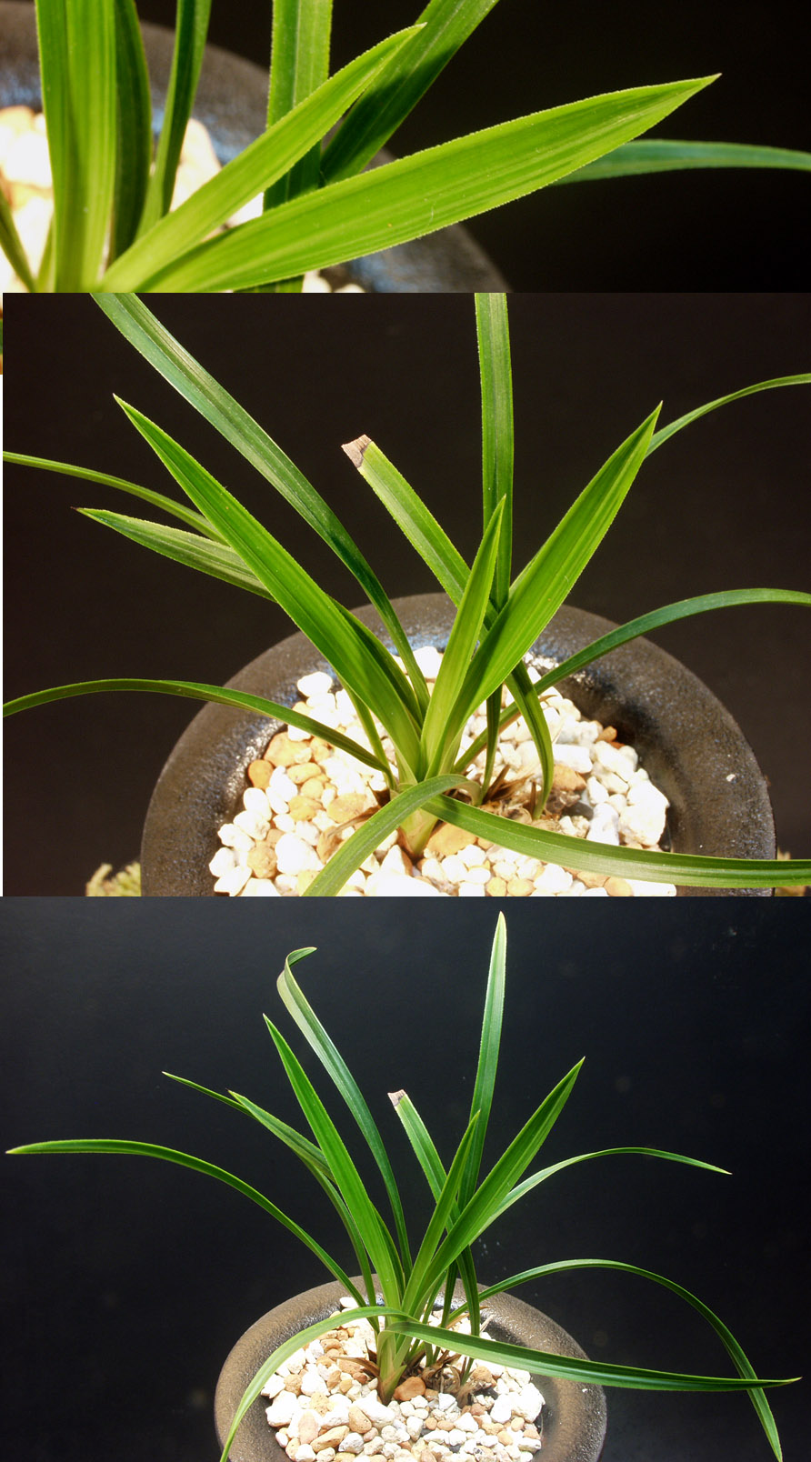 ������ ū������ �� �� �ֽ��ϴ�.