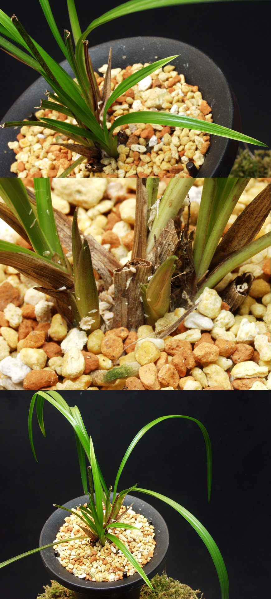 ������ ū������ �� �� �ֽ��ϴ�.