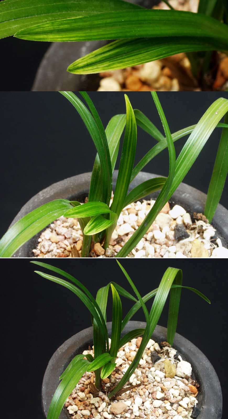 ������ ū������ �� �� �ֽ��ϴ�.