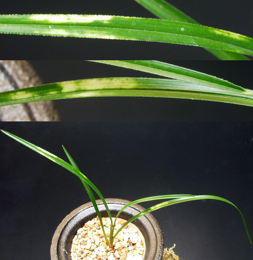 ������ ū������ �� �� �ֽ��ϴ�.