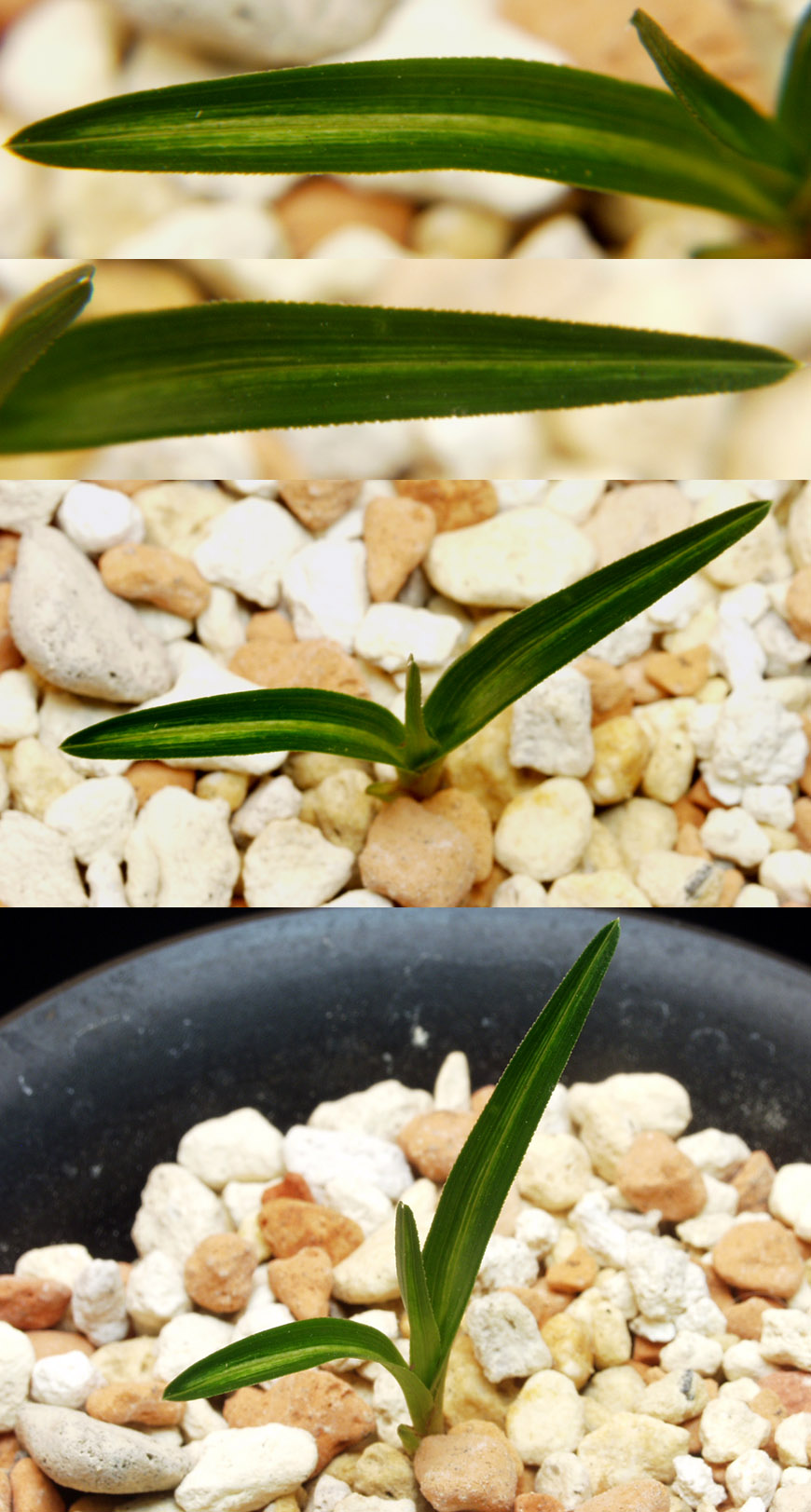 ������ ū������ �� �� �ֽ��ϴ�.