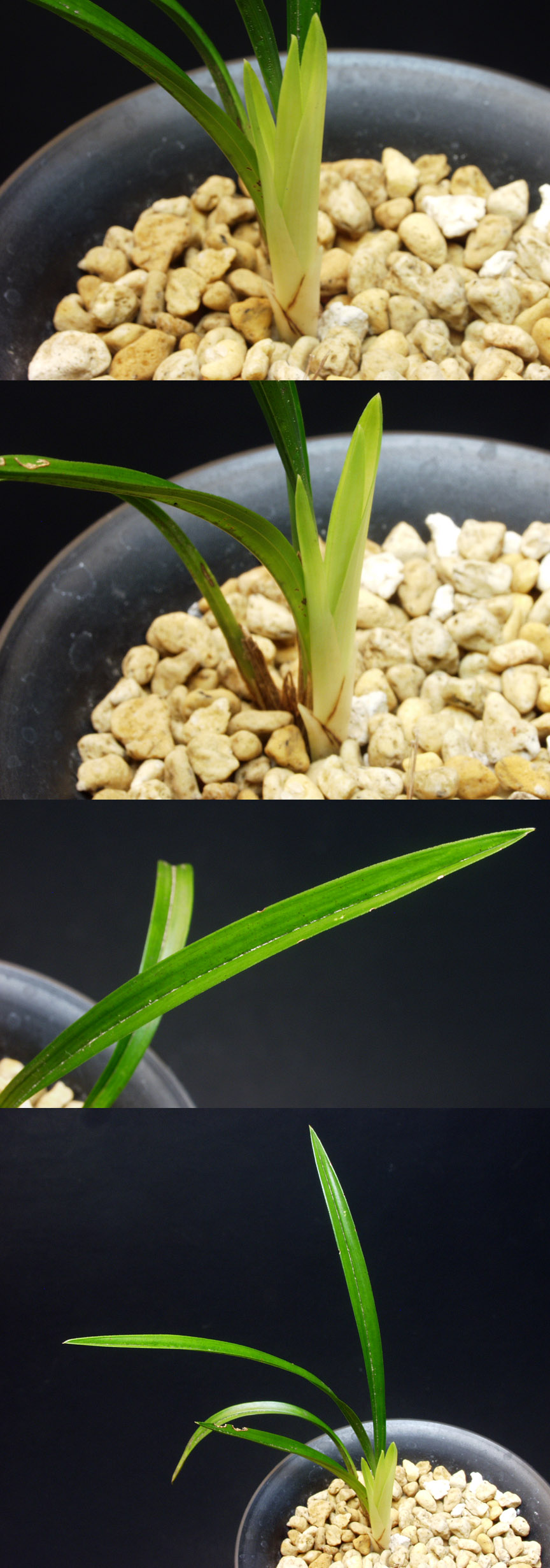 ������ ū������ �� �� �ֽ��ϴ�.