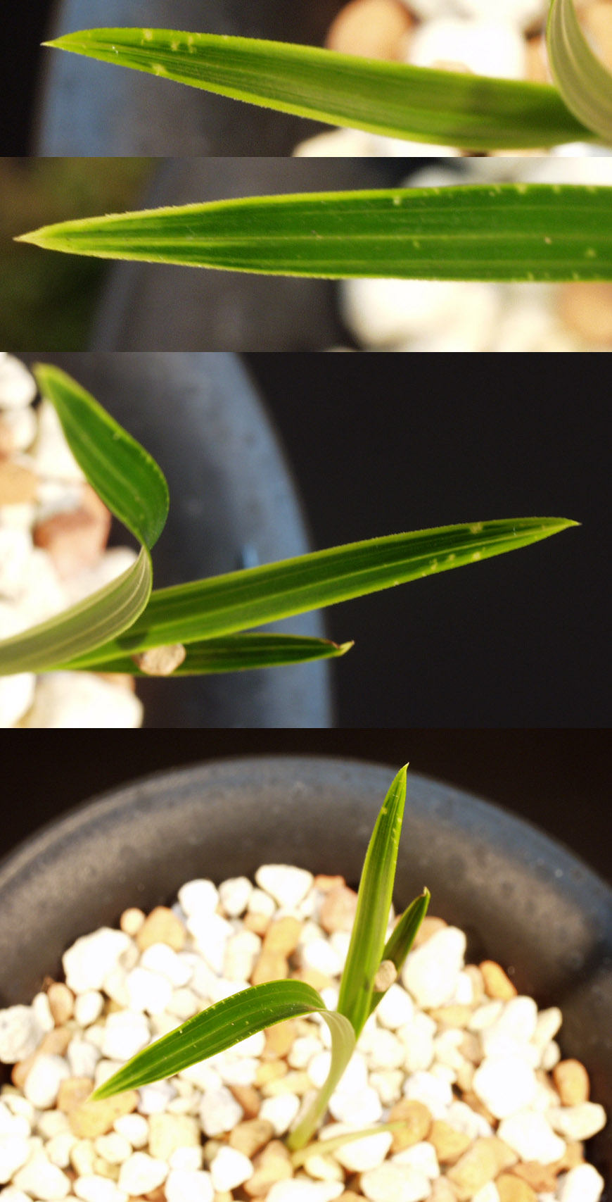 ������ ū������ �� �� �ֽ��ϴ�.