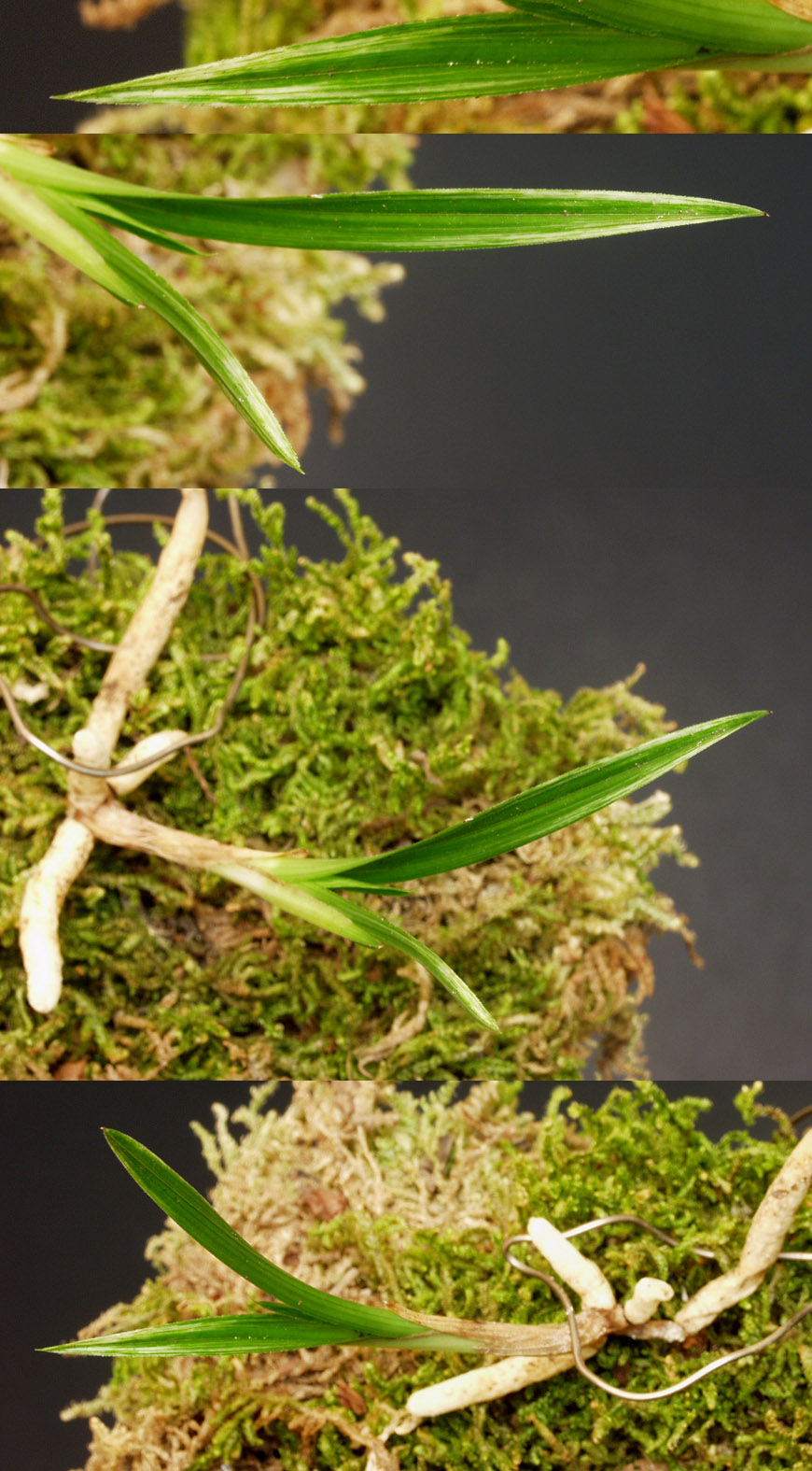 ������ ū������ �� �� �ֽ��ϴ�.