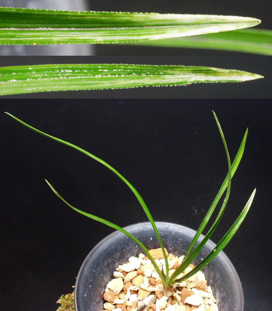 ������ ū������ �� �� �ֽ��ϴ�.