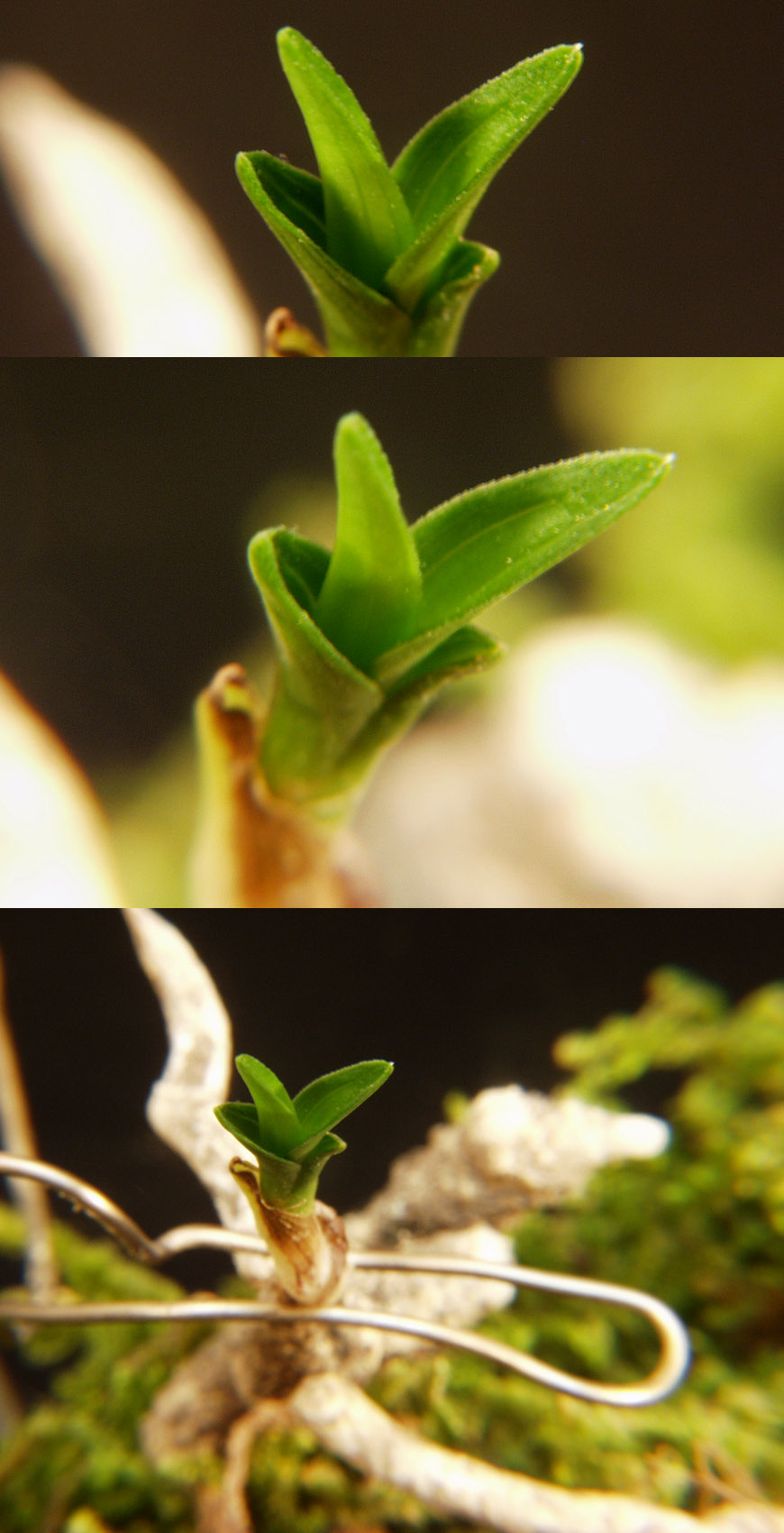 ������ ū������ �� �� �ֽ��ϴ�.