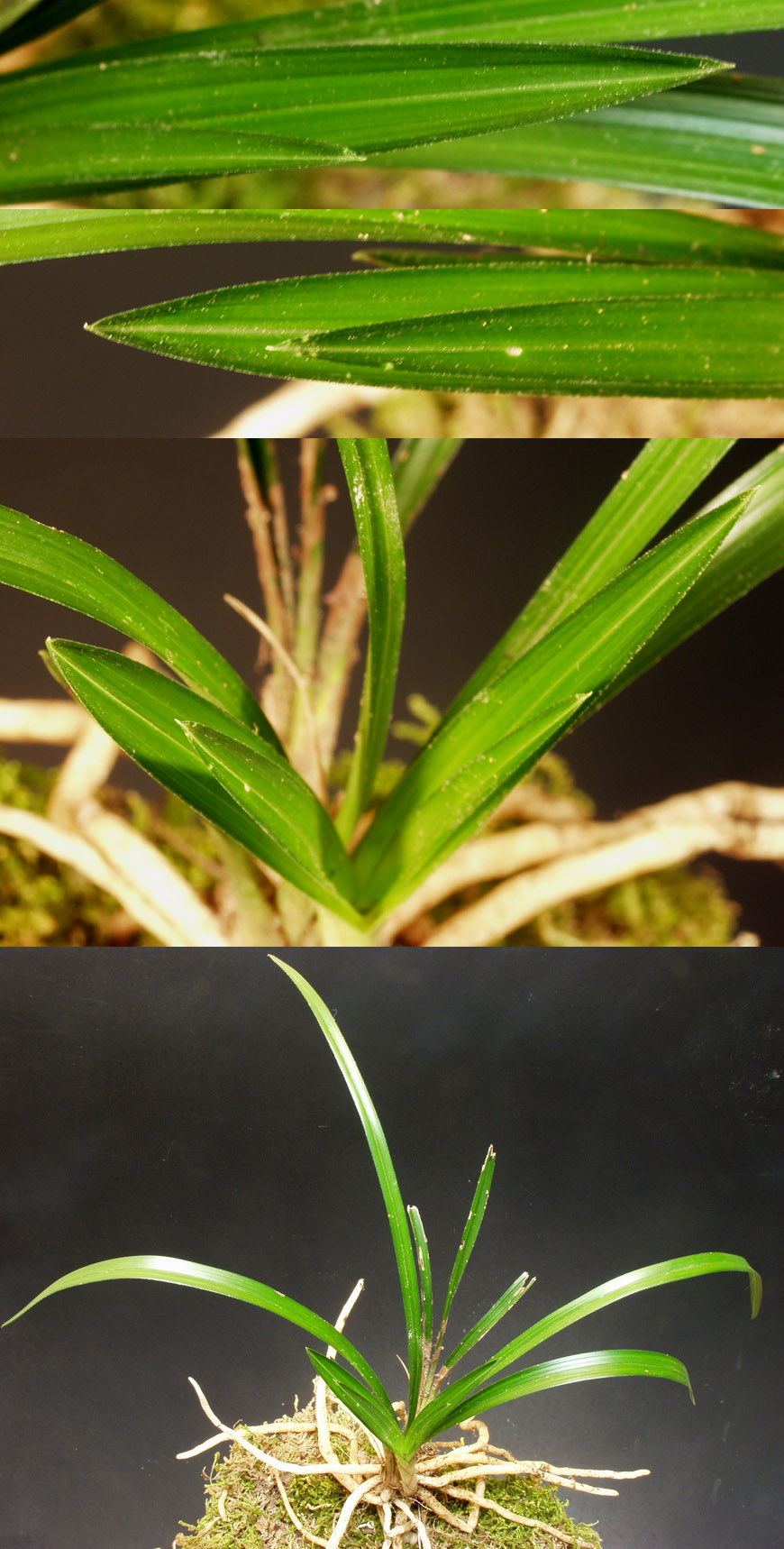 ������ ū������ �� �� �ֽ��ϴ�.