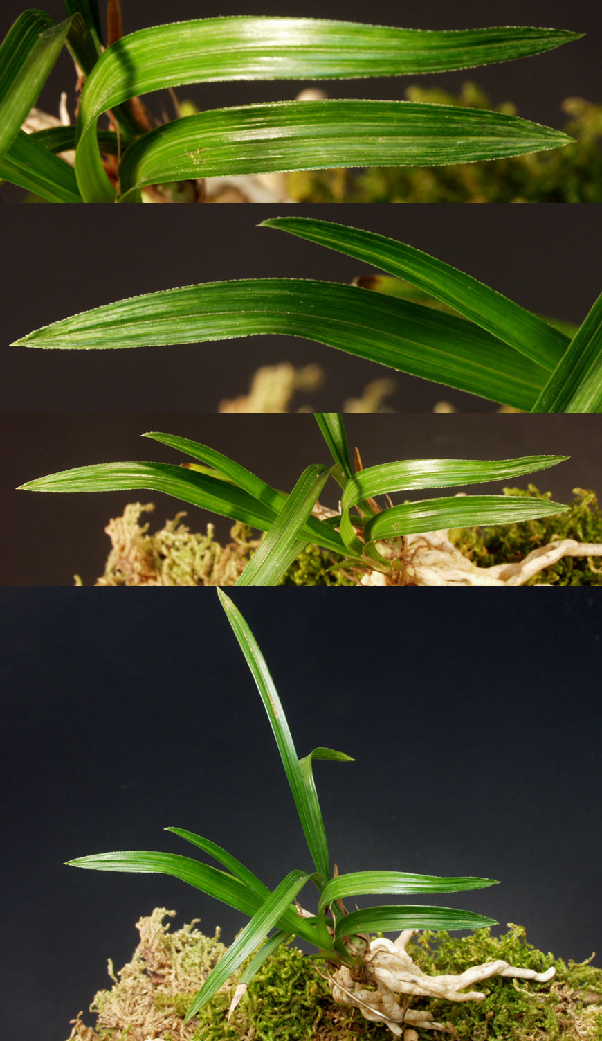 ������ ū������ �� �� �ֽ��ϴ�.