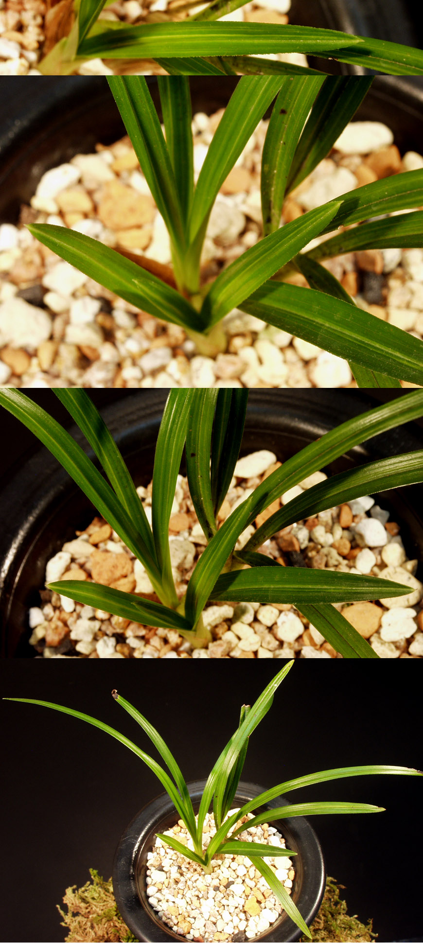 ������ ū������ �� �� �ֽ��ϴ�.