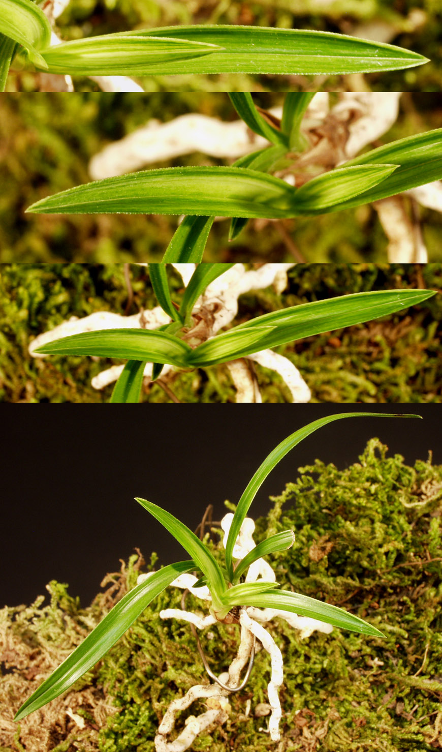 ������ ū������ �� �� �ֽ��ϴ�.