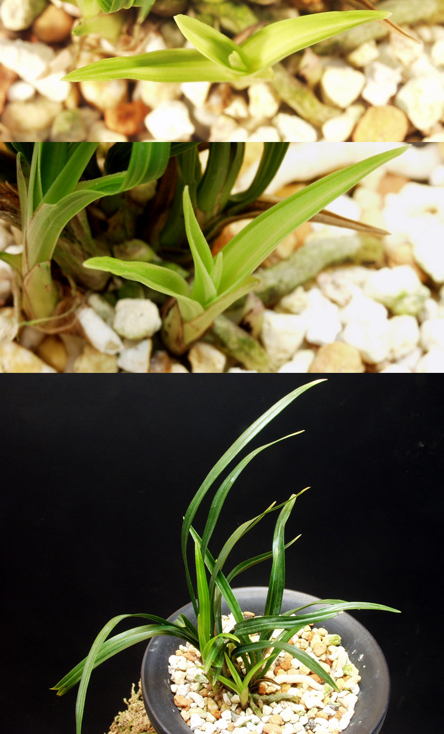 ������ ū������ �� �� �ֽ��ϴ�.