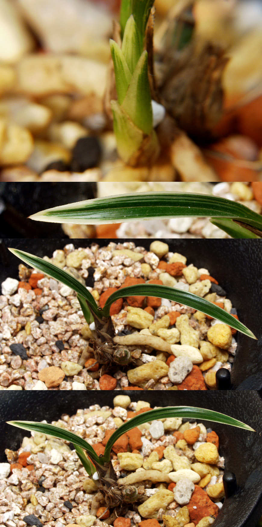 ������ ū������ �� �� �ֽ��ϴ�.