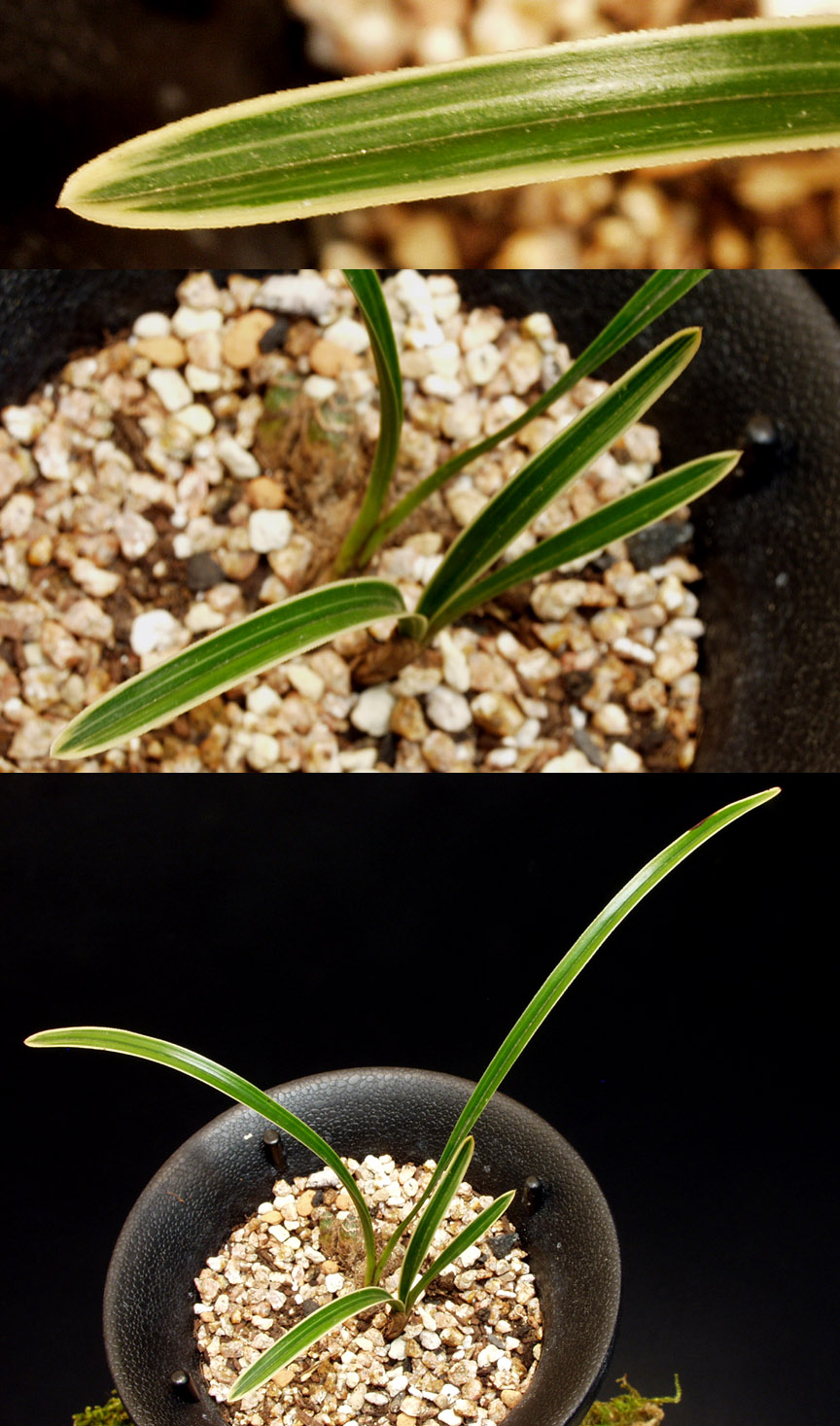 ������ ū������ �� �� �ֽ��ϴ�.