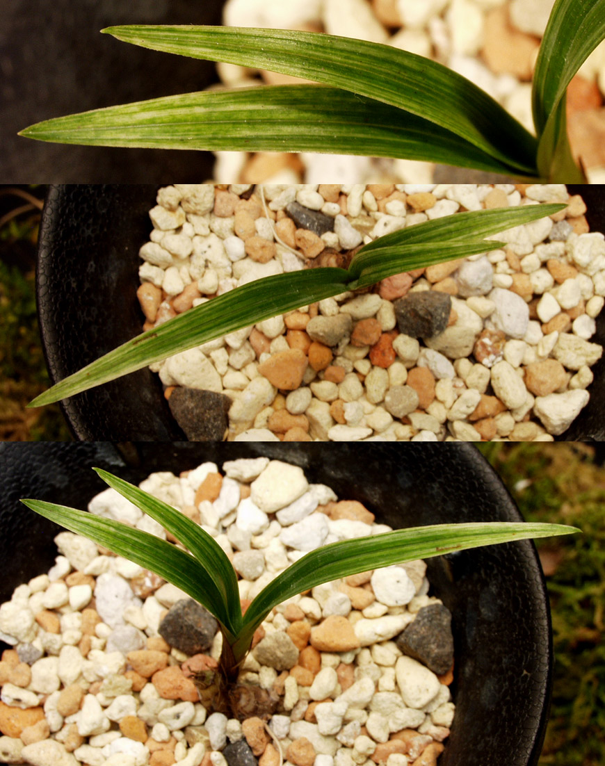 ������ ū������ �� �� �ֽ��ϴ�.