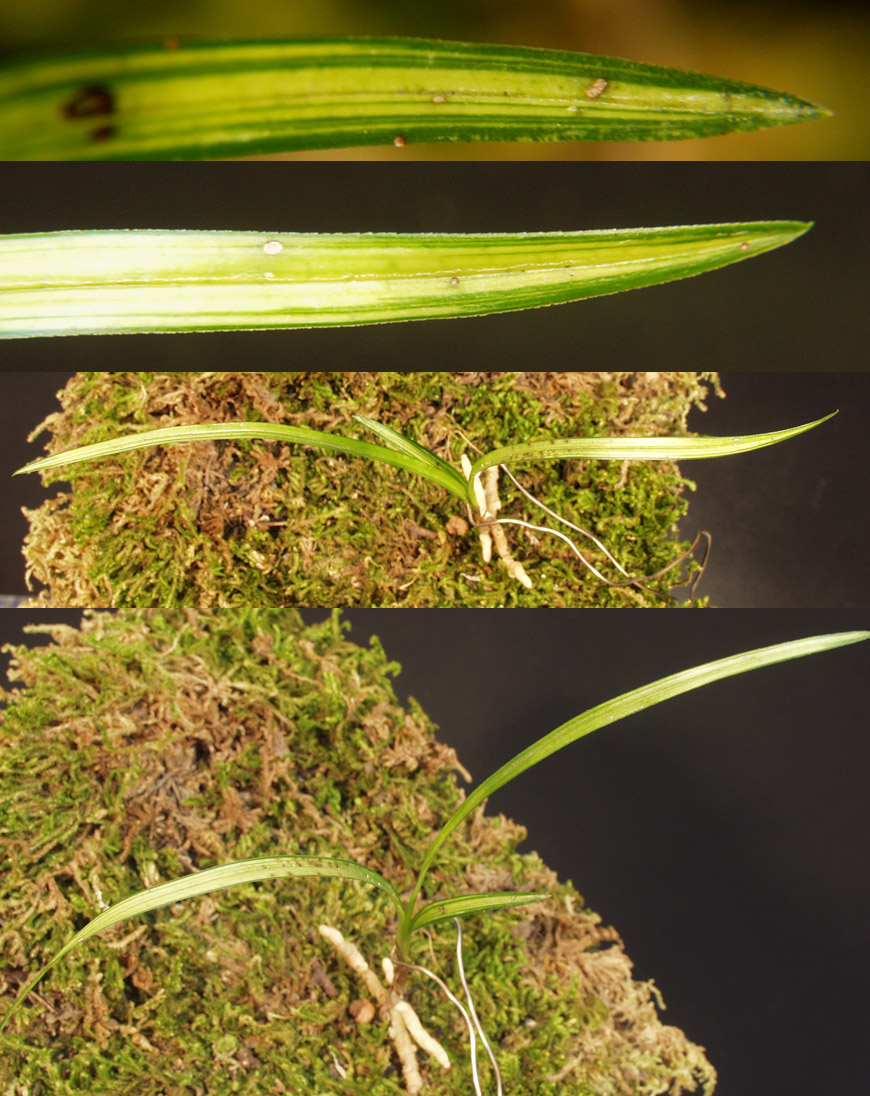 ������ ū������ �� �� �ֽ��ϴ�.