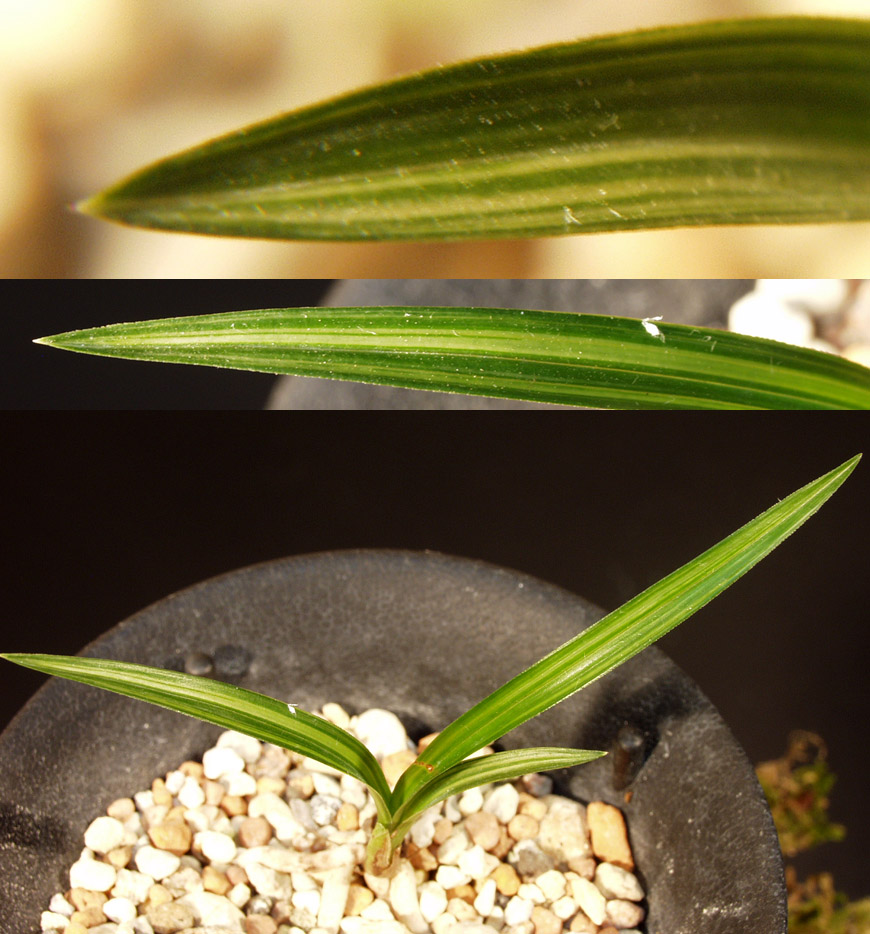 ������ ū������ �� �� �ֽ��ϴ�.