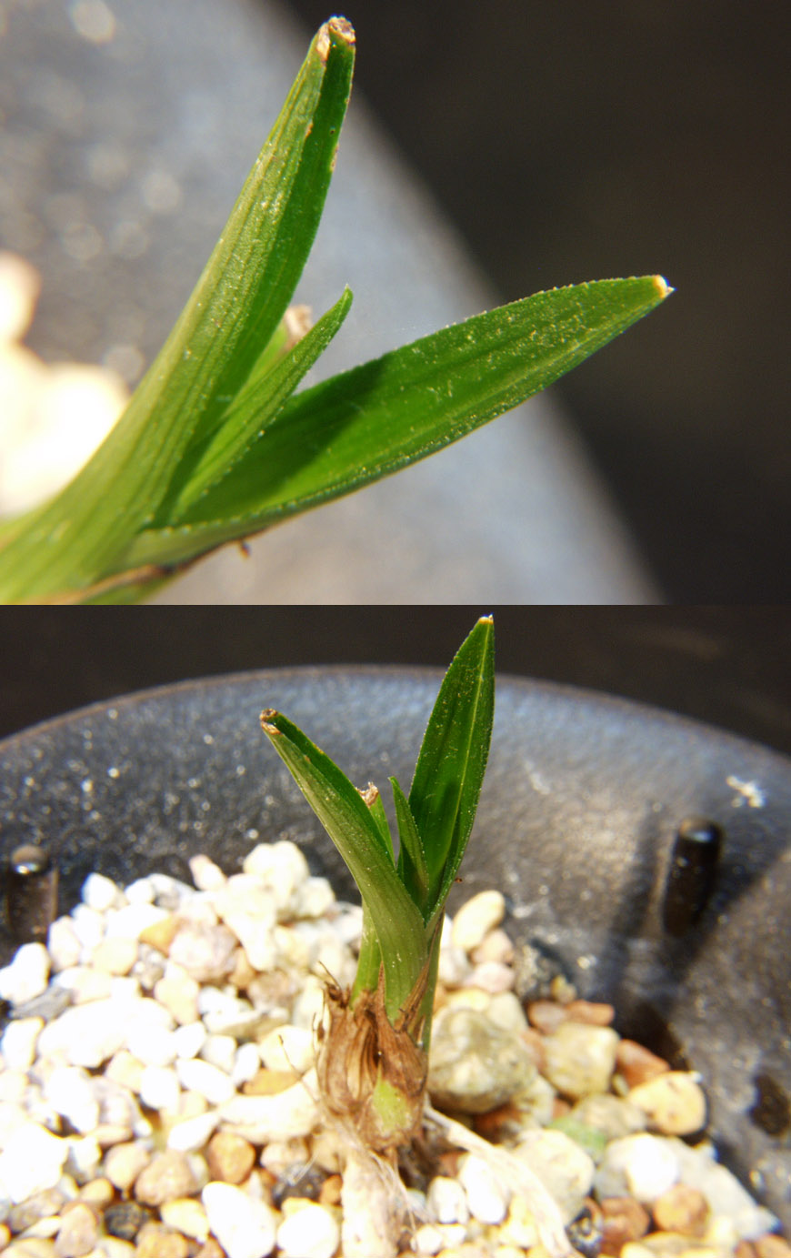 ������ ū������ �� �� �ֽ��ϴ�.