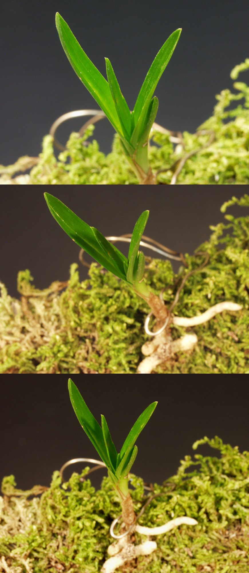 ������ ū������ �� �� �ֽ��ϴ�.