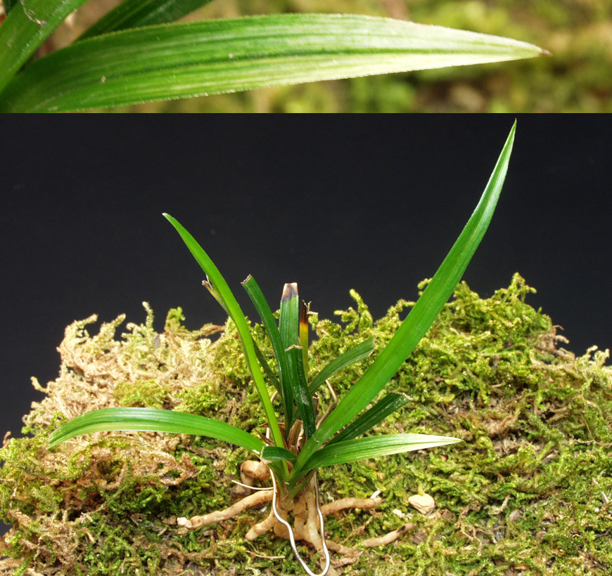 ������ ū������ �� �� �ֽ��ϴ�.