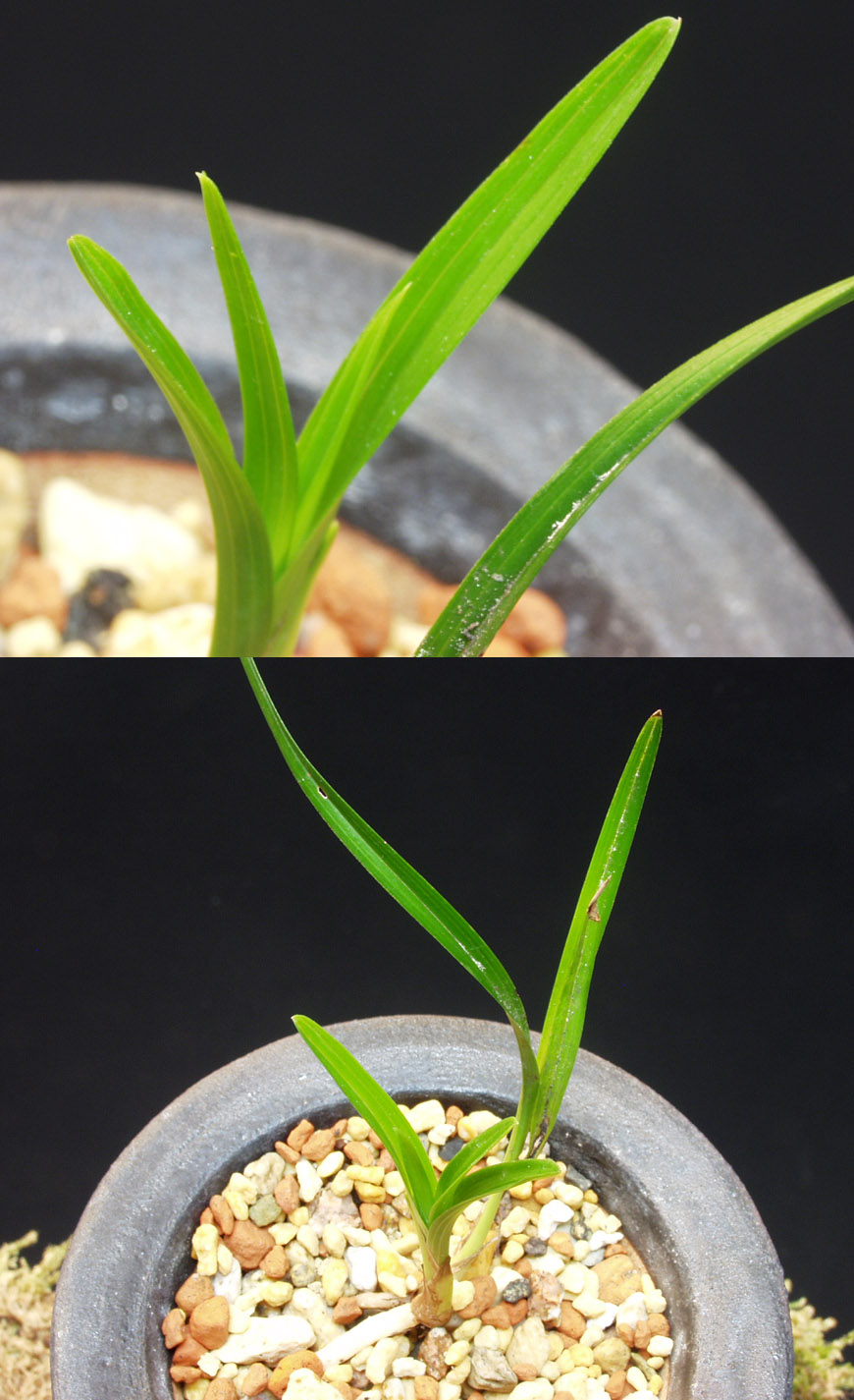 ������ ū������ �� �� �ֽ��ϴ�.