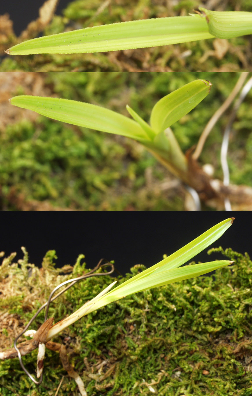 ������ ū������ �� �� �ֽ��ϴ�.