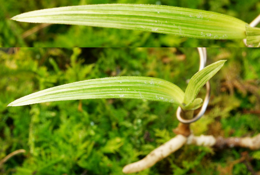 ������ ū������ �� �� �ֽ��ϴ�.