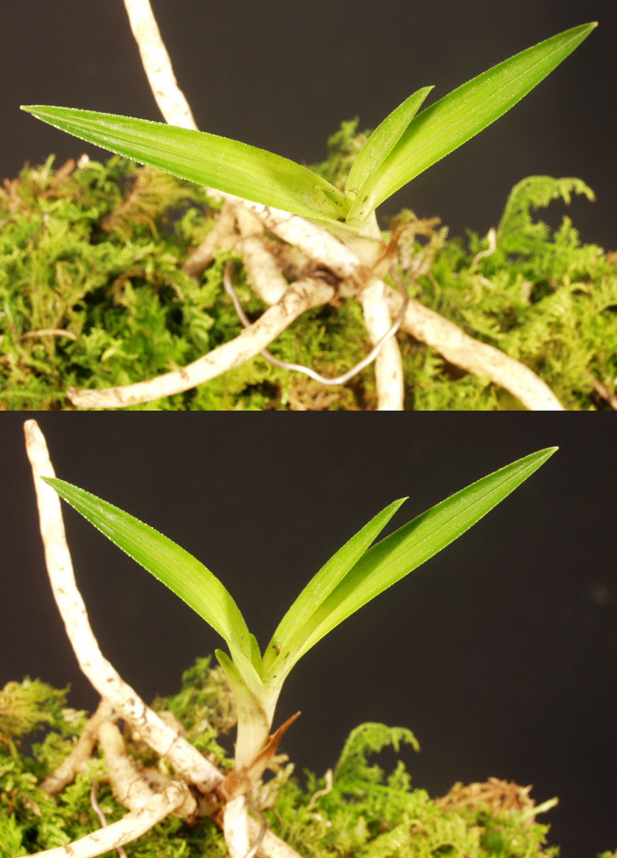 ������ ū������ �� �� �ֽ��ϴ�.