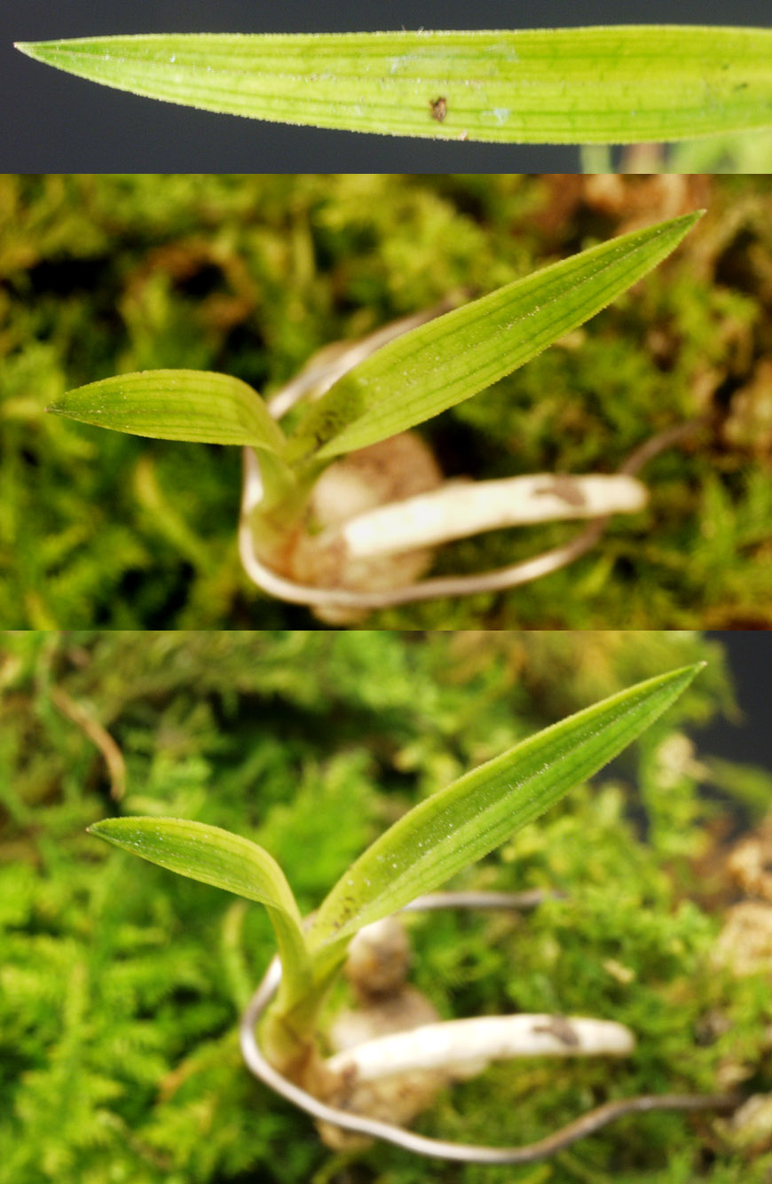 ������ ū������ �� �� �ֽ��ϴ�.