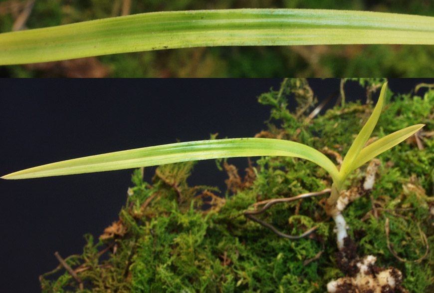 ������ ū������ �� �� �ֽ��ϴ�.