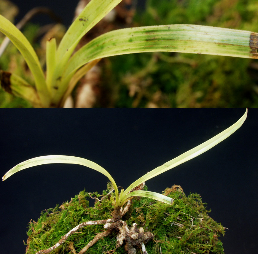 ������ ū������ �� �� �ֽ��ϴ�.