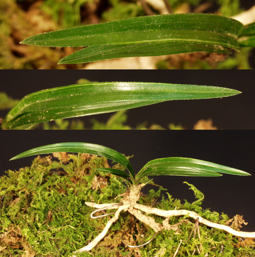 ������ ū������ �� �� �ֽ��ϴ�.