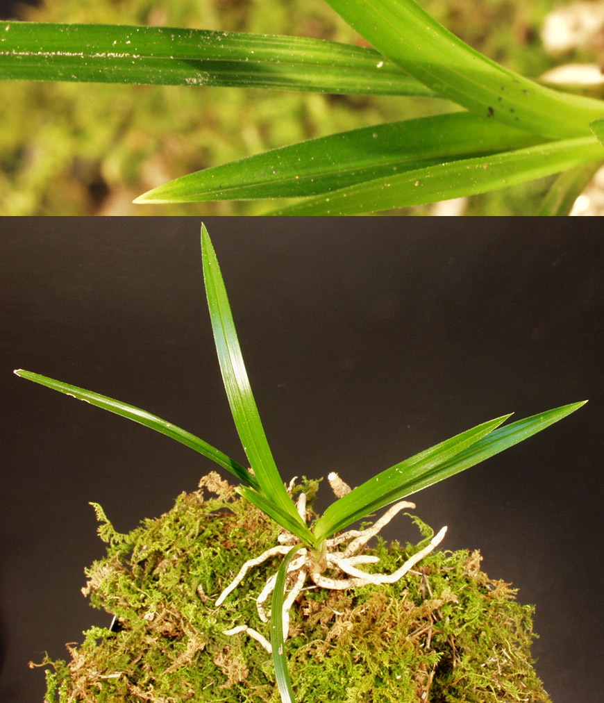 ������ ū������ �� �� �ֽ��ϴ�.