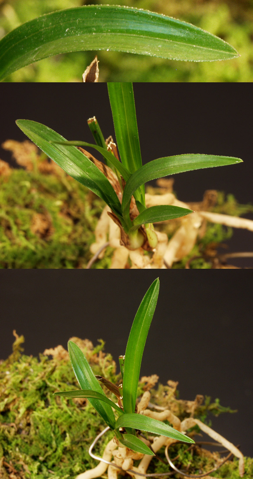 ������ ū������ �� �� �ֽ��ϴ�.