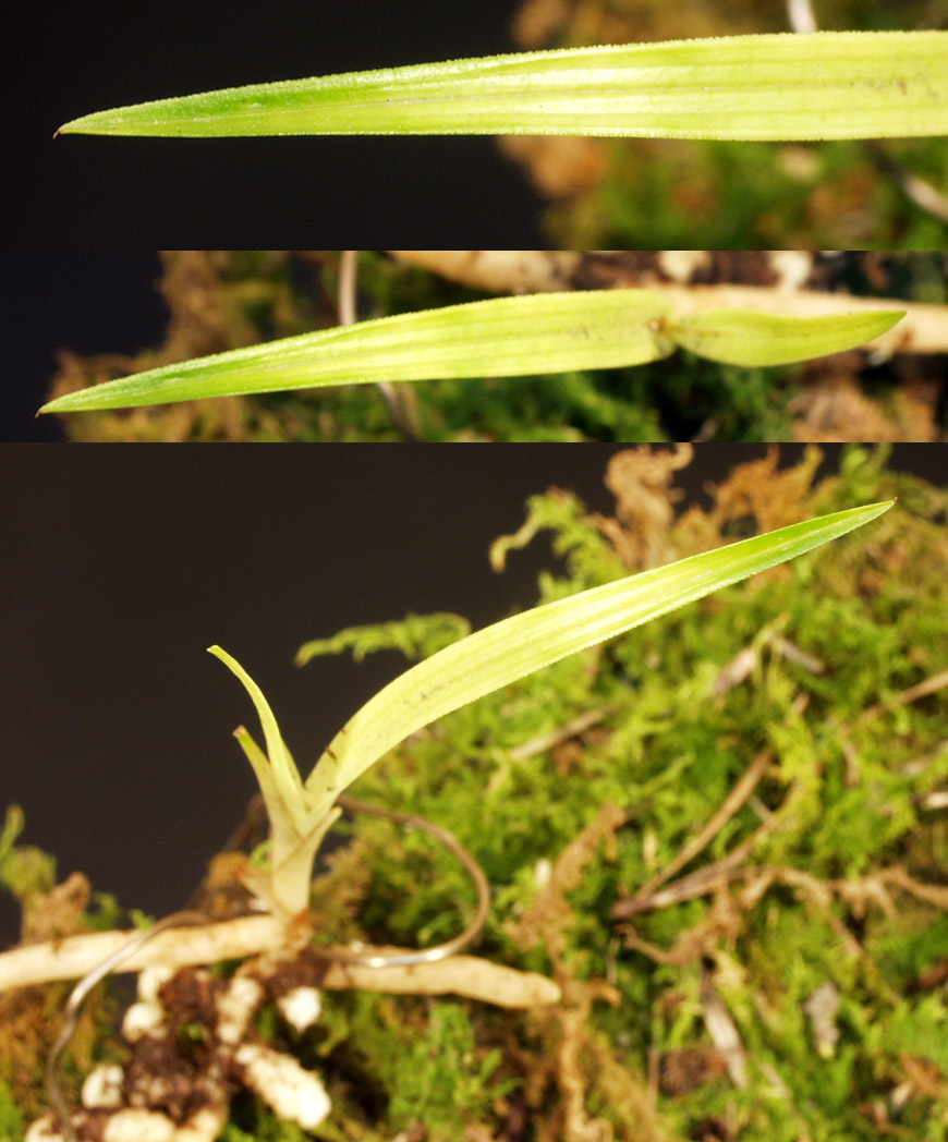 ������ ū������ �� �� �ֽ��ϴ�.