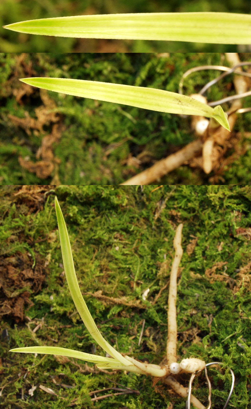 ������ ū������ �� �� �ֽ��ϴ�.