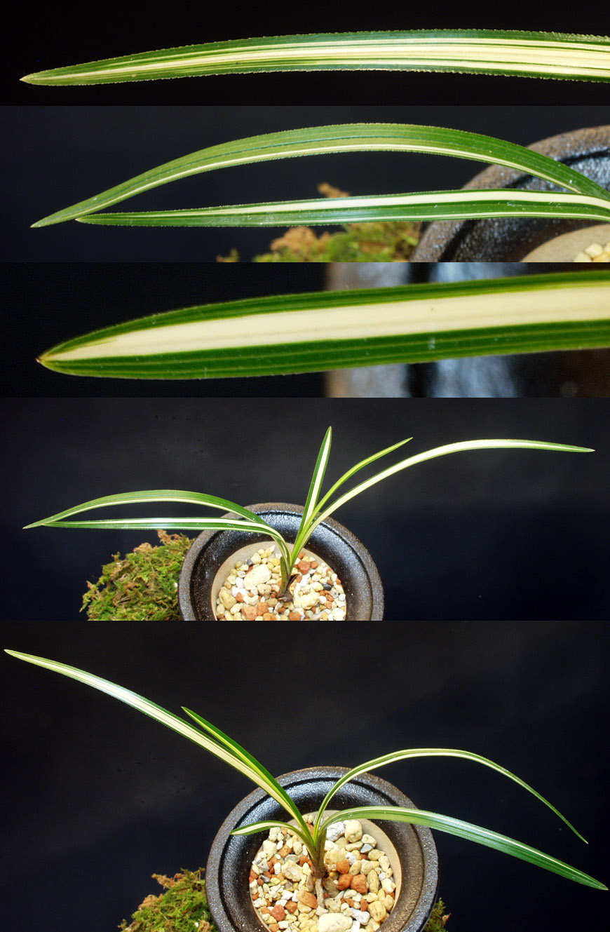 ������ ū������ �� �� �ֽ��ϴ�.