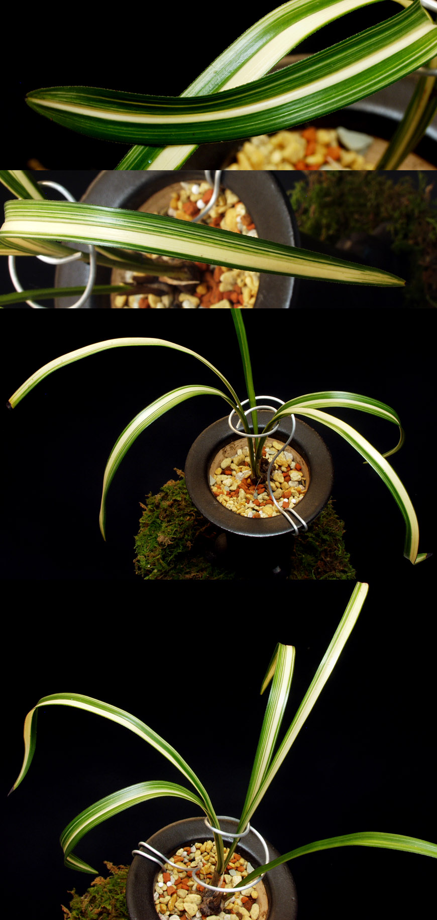 ������ ū������ �� �� �ֽ��ϴ�.