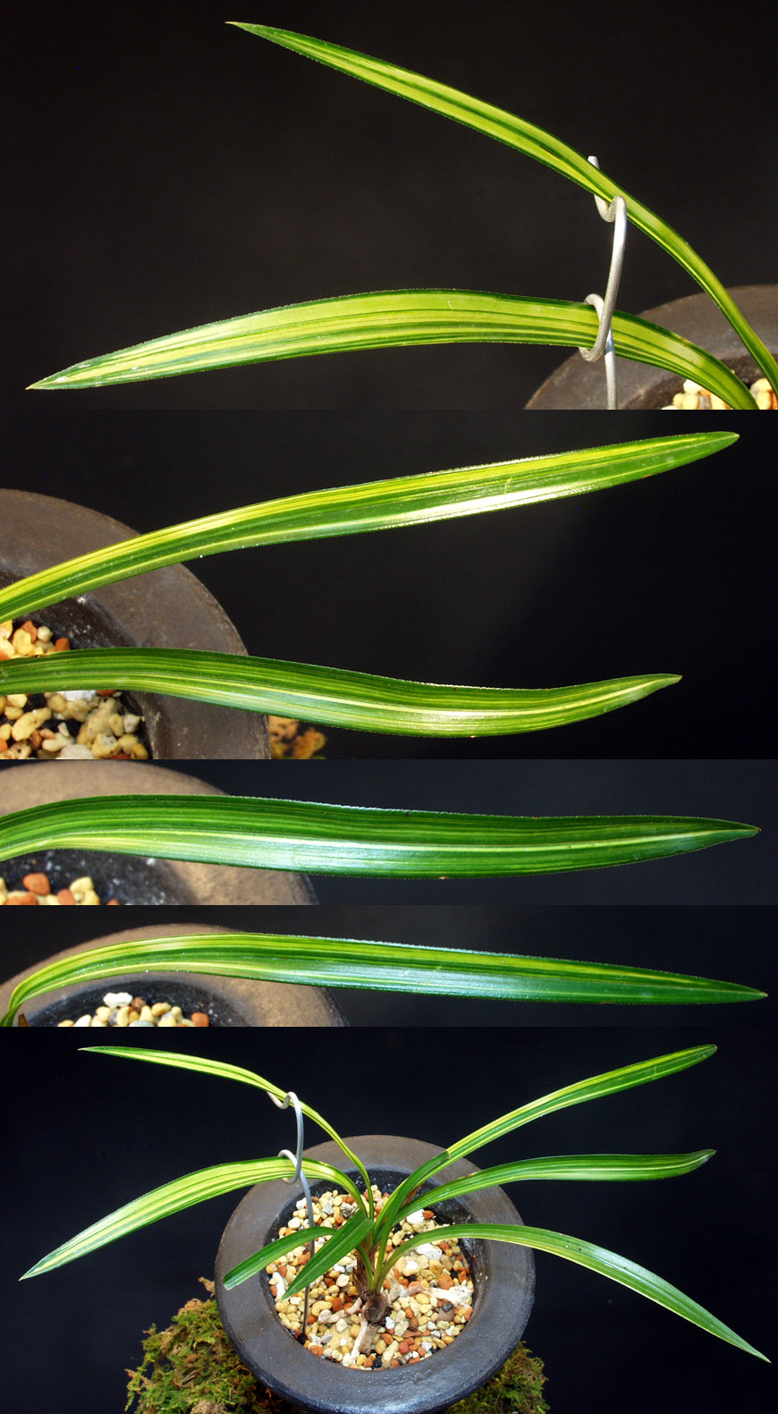 ������ ū������ �� �� �ֽ��ϴ�.