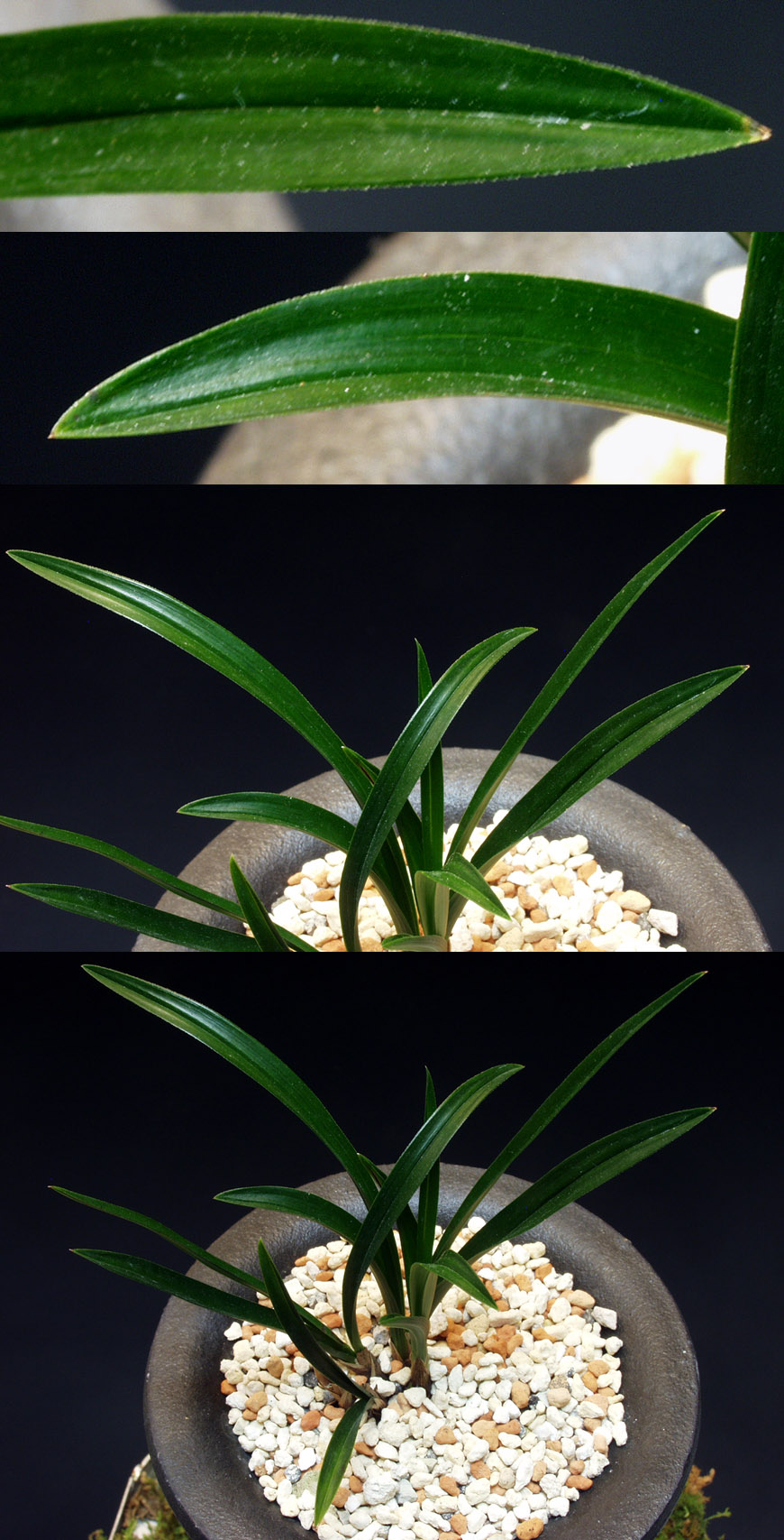 ������ ū������ �� �� �ֽ��ϴ�.