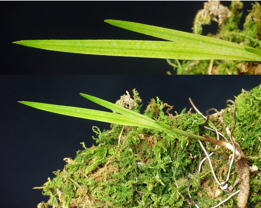 ������ ū������ �� �� �ֽ��ϴ�.