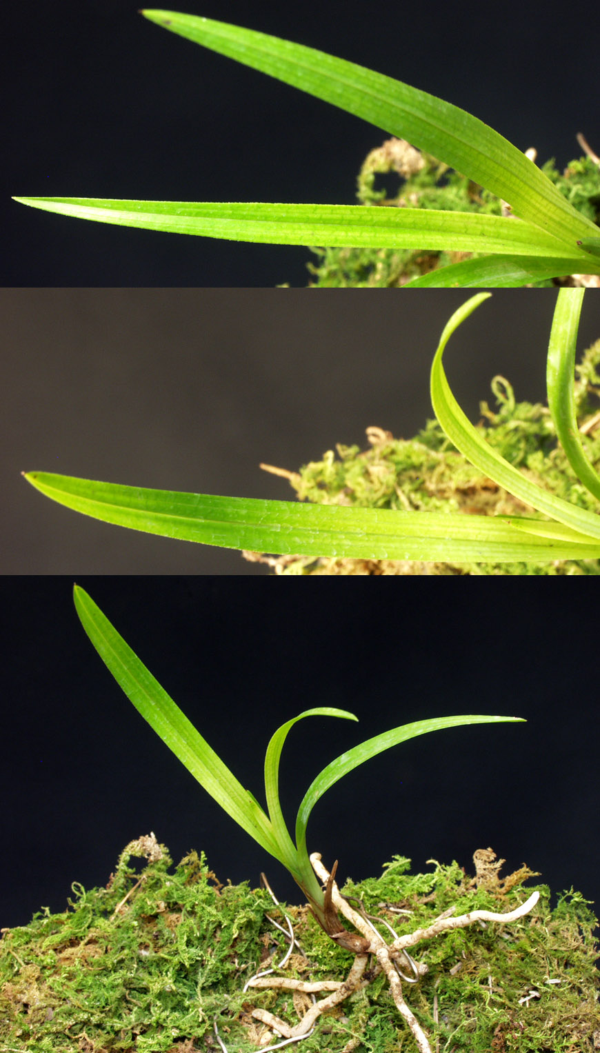 ������ ū������ �� �� �ֽ��ϴ�.