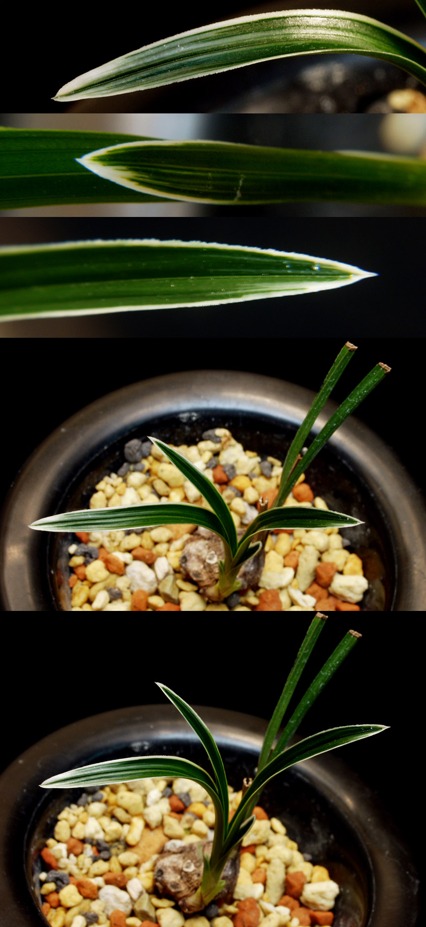 ������ ū������ �� �� �ֽ��ϴ�.