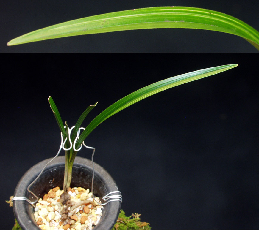 ������ ū������ �� �� �ֽ��ϴ�.