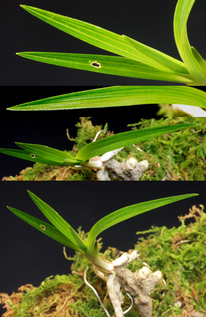 ������ ū������ �� �� �ֽ��ϴ�.