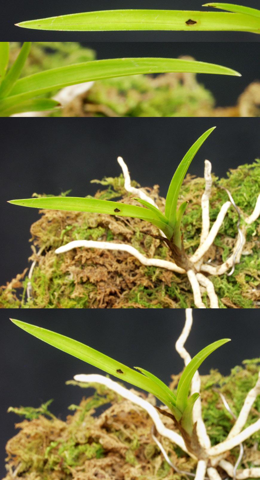 ������ ū������ �� �� �ֽ��ϴ�.