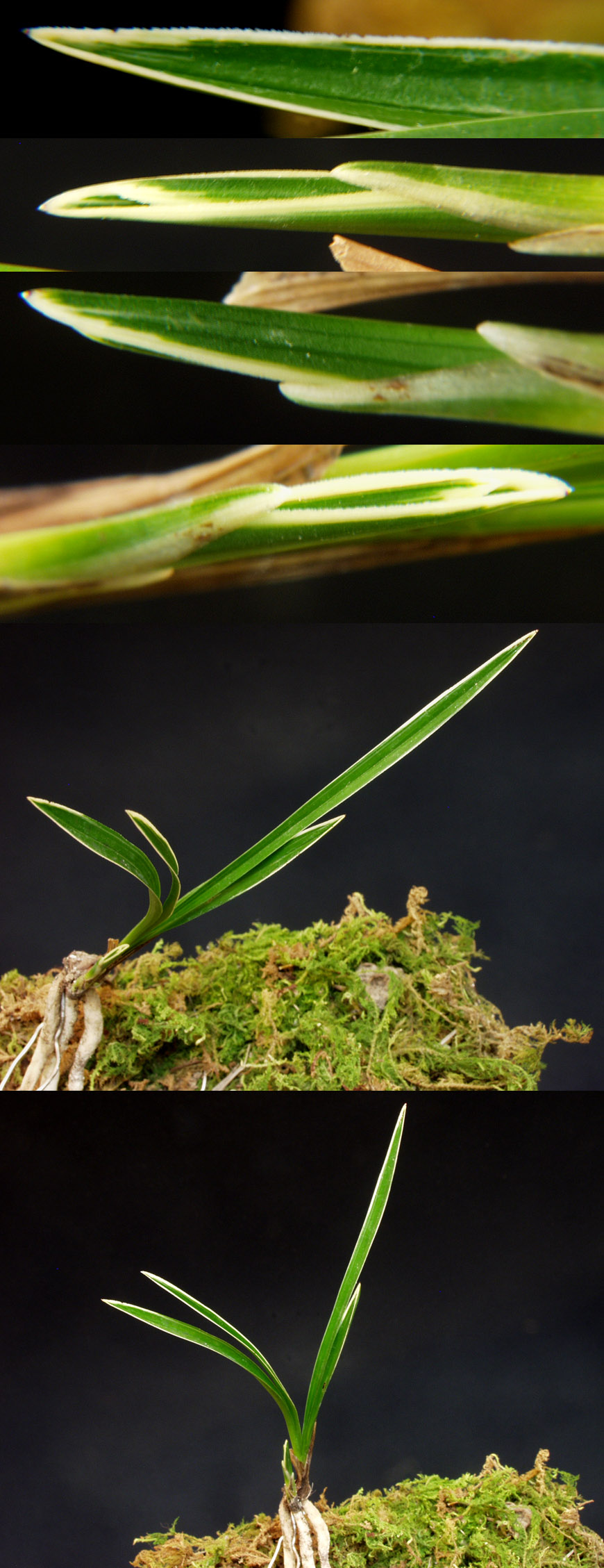 ������ ū������ �� �� �ֽ��ϴ�.