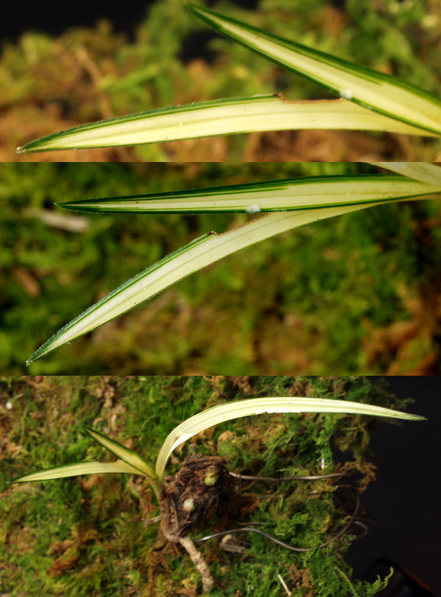 ������ ū������ �� �� �ֽ��ϴ�.