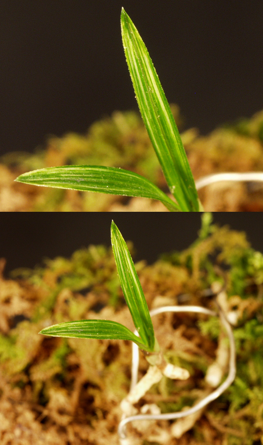 ������ ū������ �� �� �ֽ��ϴ�.